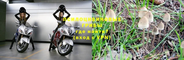 эйфоретик Алзамай