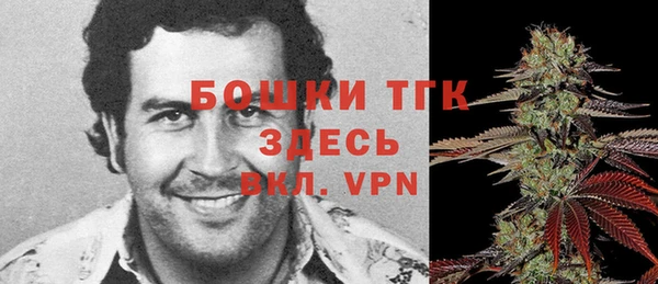 шишки Алексин
