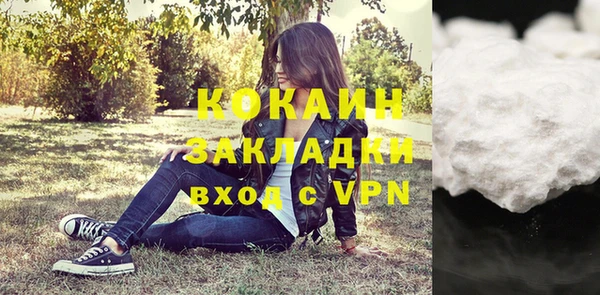 шишки Алексин