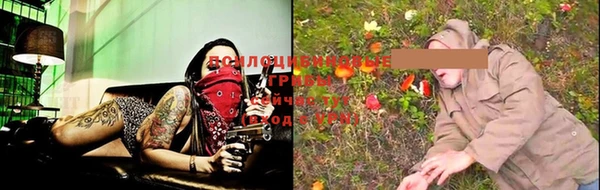эйфоретик Алзамай