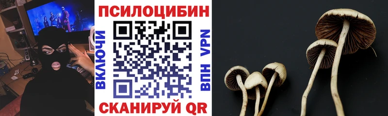 Галлюциногенные грибы Cubensis  продажа наркотиков  Алупка 
